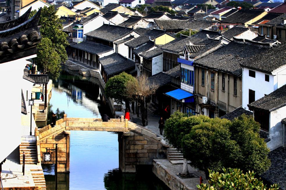 逃离椰子岛